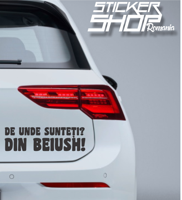 Sticker De unde sunteti? Din beiush!