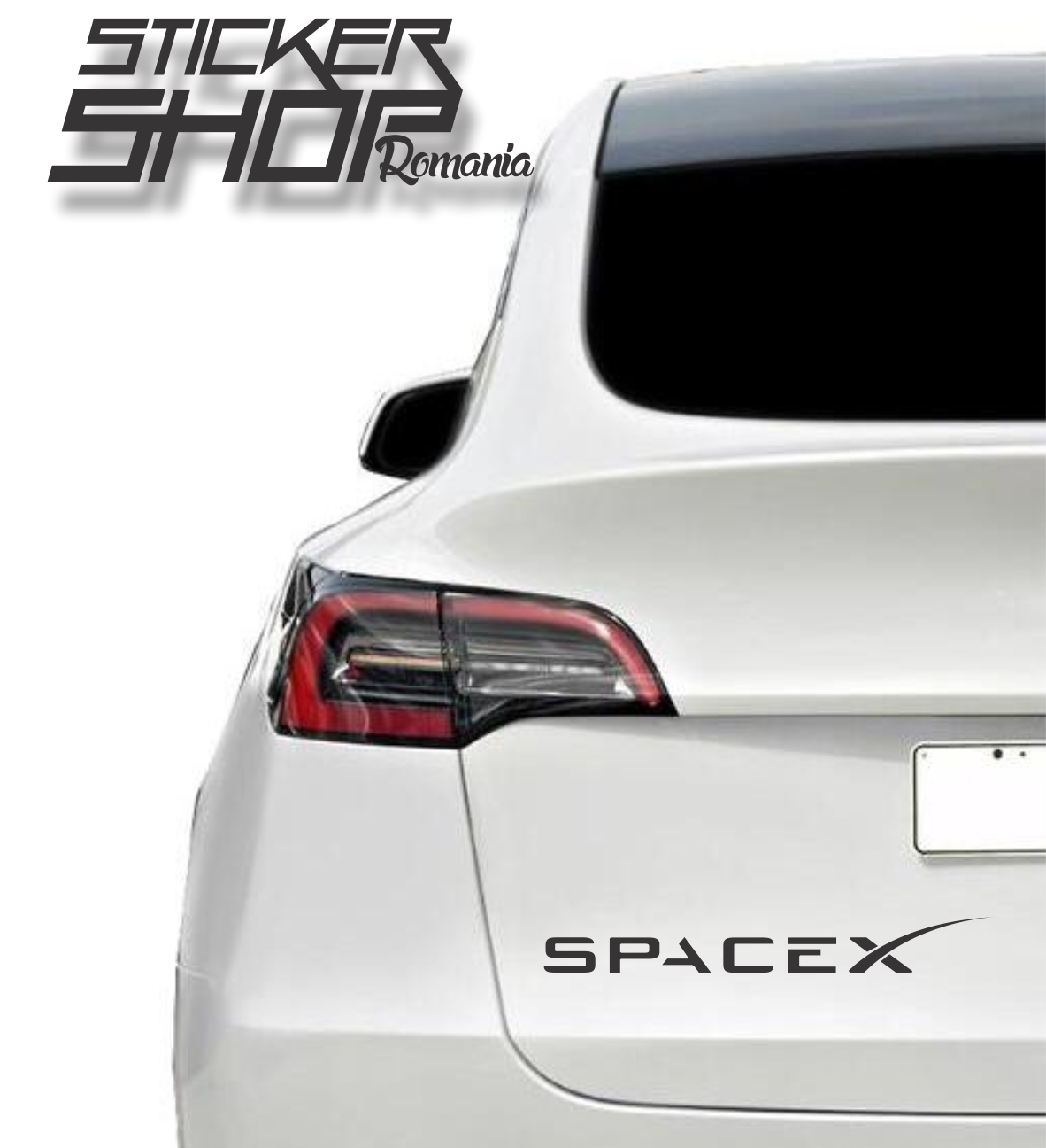 Sticker Tesla Logo spaacex