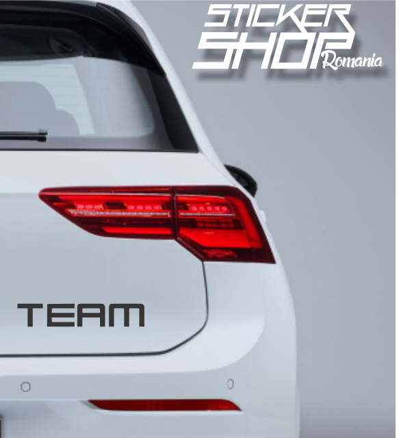 Sticker VW Volkswagen team
