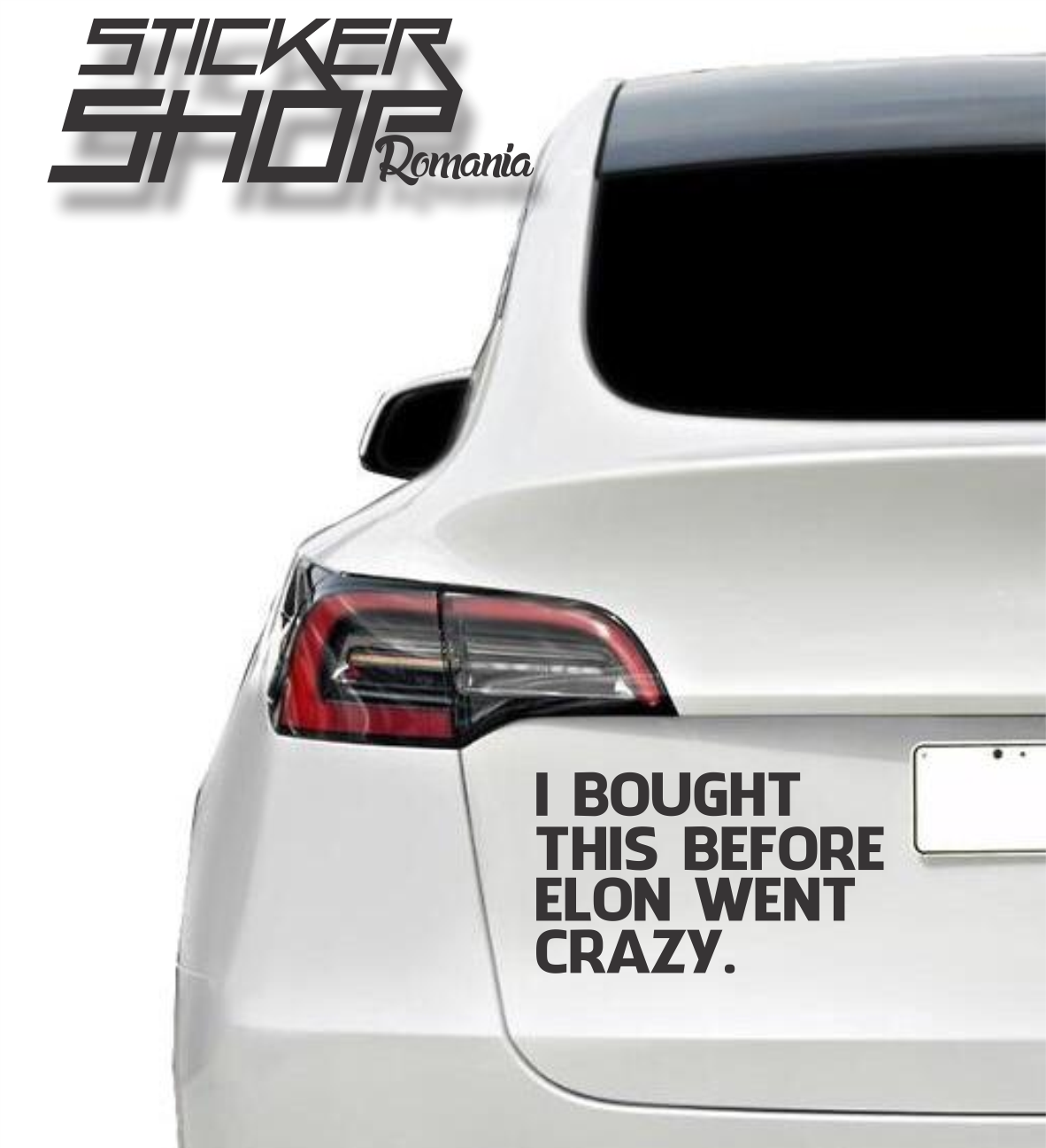 Autocollant Voiture "I Bought This Before Elon Went Crazy" - En Vinyle Résistant Aux Intempéries, 11.5x5.5 Cm | Humour Tesla/Élon Musk